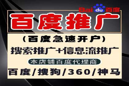 SEM运营中的数据分析和优化案例研究